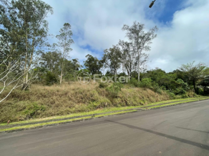 Image 80 - 1005068