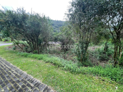 Image 78 - 1005068
