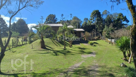 Image 7 - 1005160