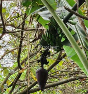 Image 17 - 1005275