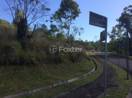 Image 77 - 100724
