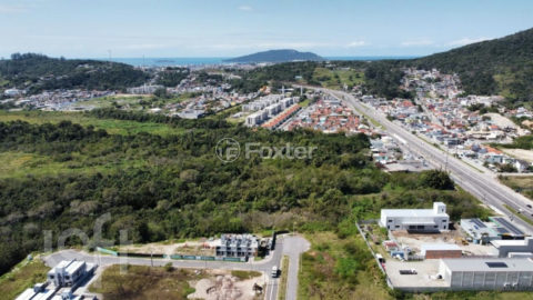 Image 34 - 1007332