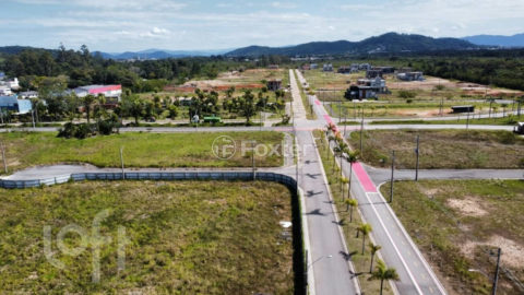Image 30 - 1007332