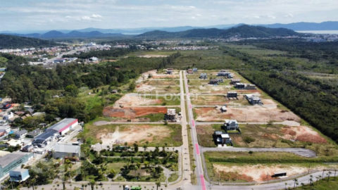 Image 33 - 1007332