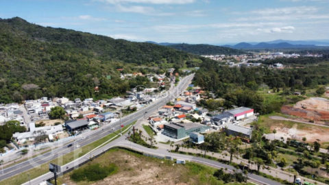 Image 40 - 1007332