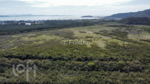 Image 35 - 1007332