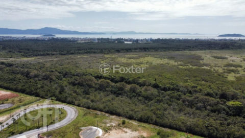 Image 38 - 1007332