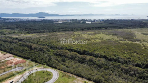 Image 36 - 1007332