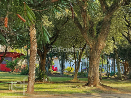 Image 48 - 1007356