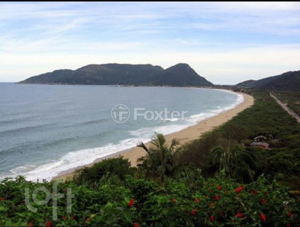 Image 1 - 1007436