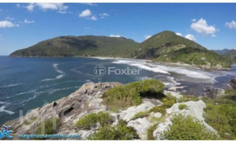 Image 2 - 1007436