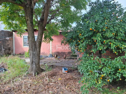 Image 31 - 1007495
