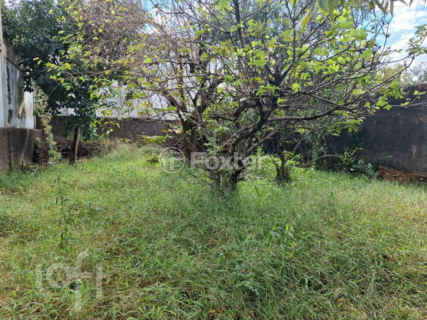 Image 30 - 1007495