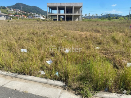Image 4 - 1007672