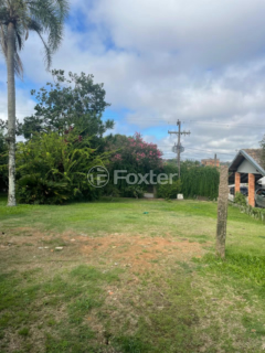 Image 2 - 1007851