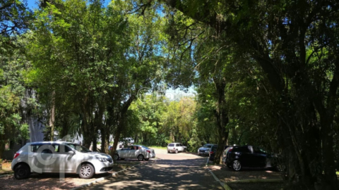 Image 22 - 1008001