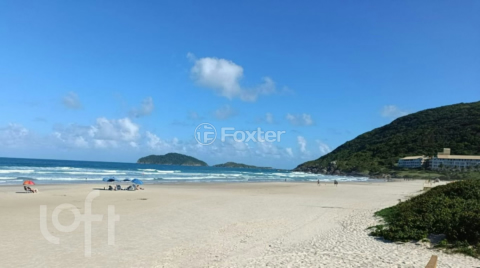 Image 11 - 1008334