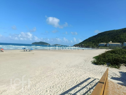 Image 10 - 1008334