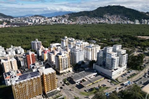 Image 10 - 1008396