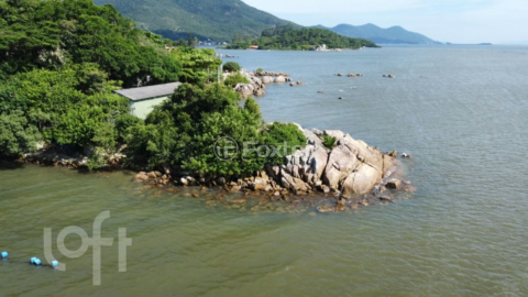 Image 4 - 1009479