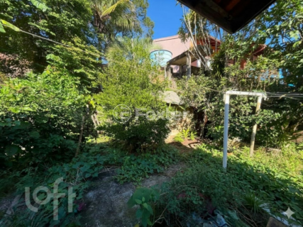 Image 3 - 1009788