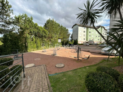 Image 30 - 1010026