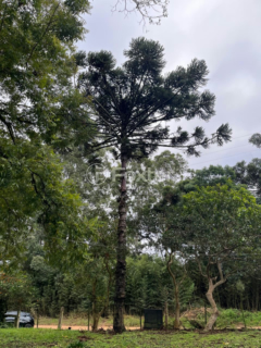 Image 7 - 1010059