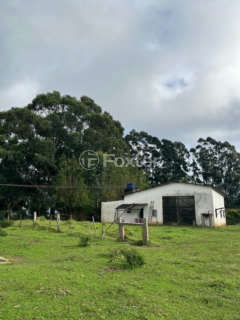 Image 3 - 1010059
