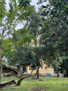 Image 6 - 1010059
