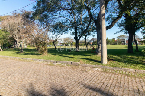 Image 31 - 1010113