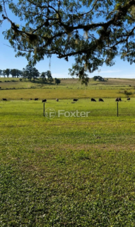 Image 8 - 1010271