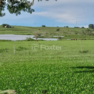 Image 3 - 1010271