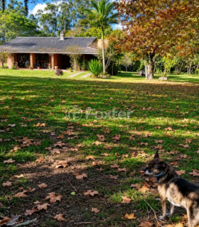 Image 2 - 1010271