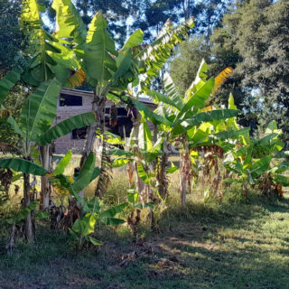 Image 26 - 1010271