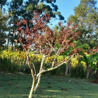Image 24 - 1010271