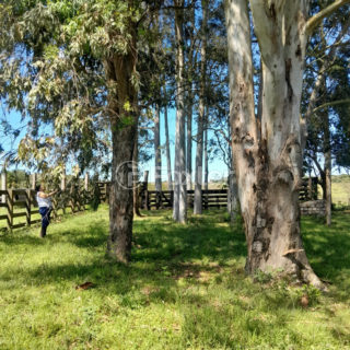 Image 5 - 1010271