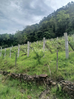 Image 1 - 1010314