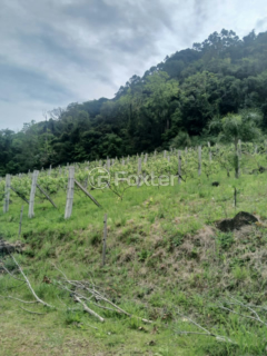 Image 3 - 1010314