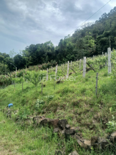 Image 2 - 1010314