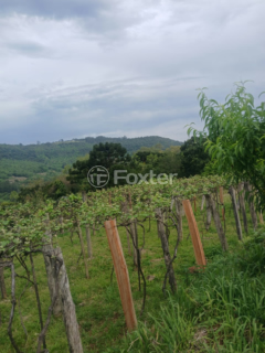 Image 4 - 1010314
