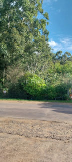 Image 6 - 1010408