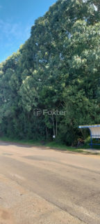 Image 4 - 1010408