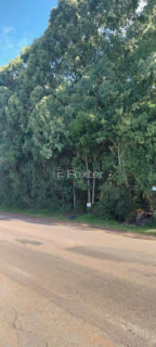Image 2 - 1010408