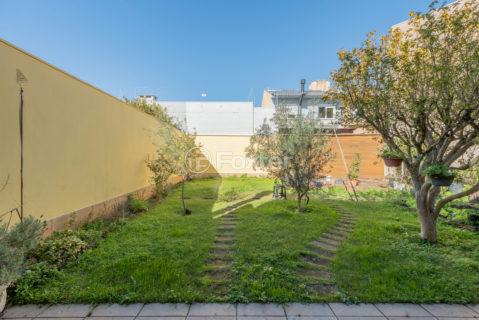 Image 8 - 1010498