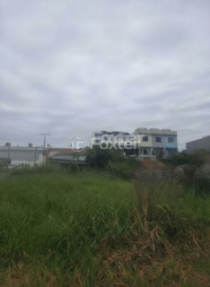Image 11 - 1010842