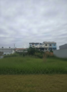 Image 6 - 1010842