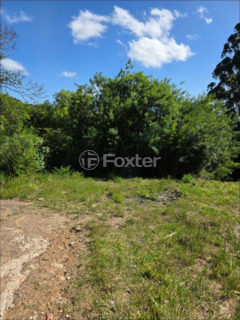 Image 2 - 1011005