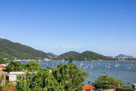 Image 25 - 1011052