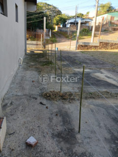 Image 10 - 1011128