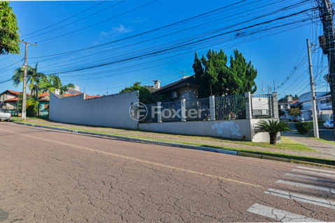 Image 48 - 1011131